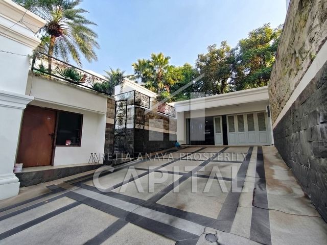 place photo 12