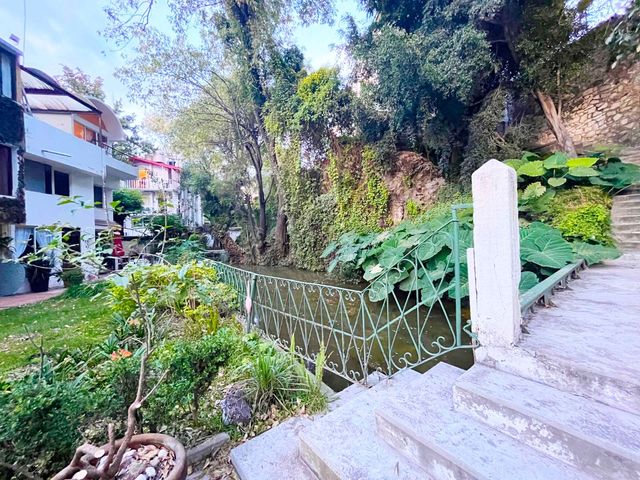 place photo 47