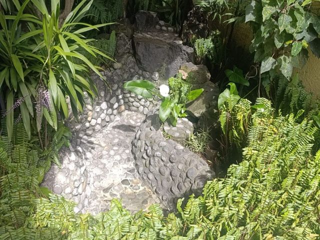 place photo 22