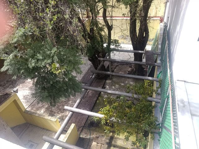 place photo 54