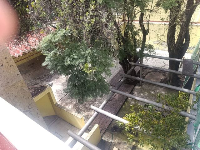 place photo 57