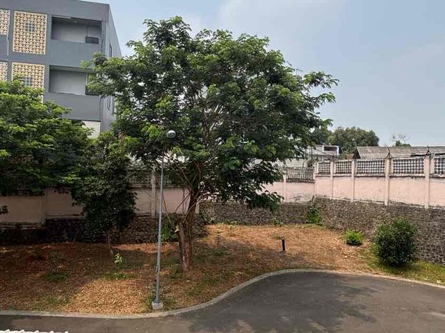 place photo 17