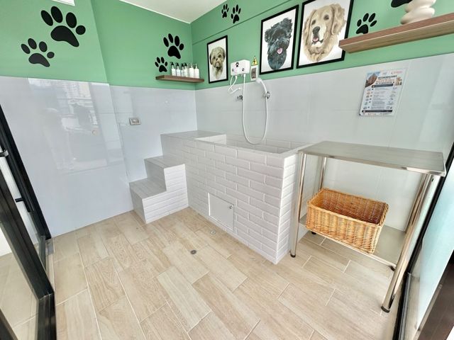 place photo 17