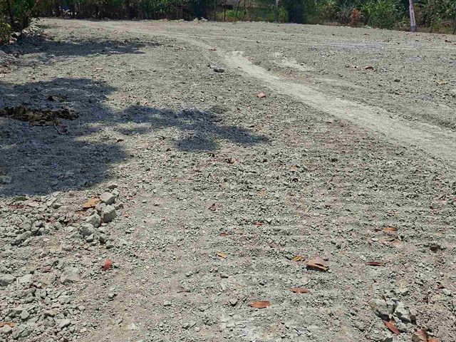 place photo 11