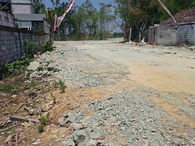 place photo 17