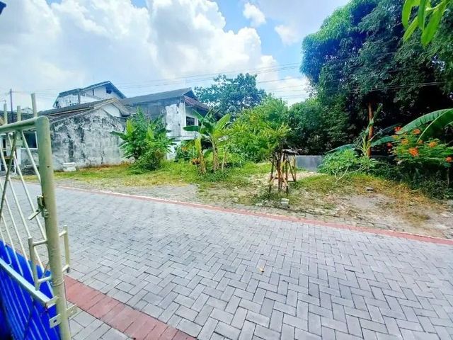 place photo 7