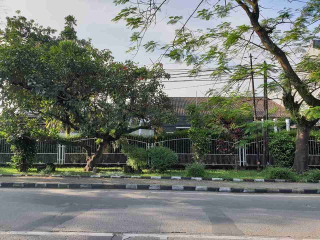 place photo 22