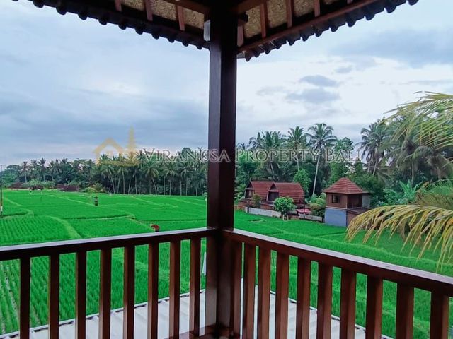 place photo 40