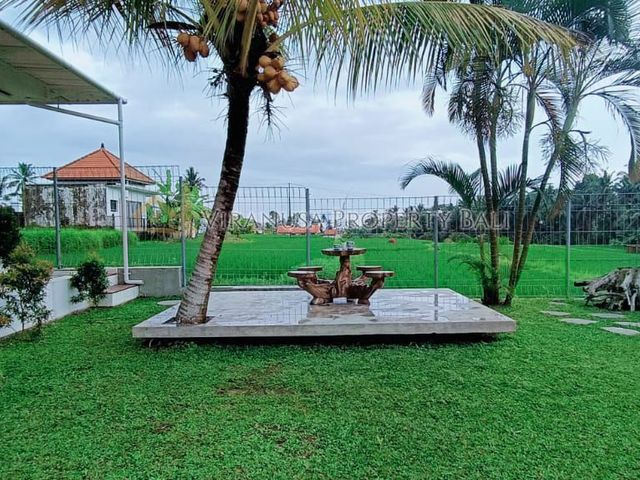 place photo 27