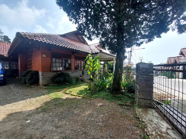 place photo 21