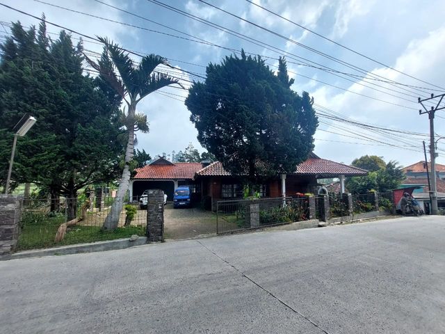 place photo 26