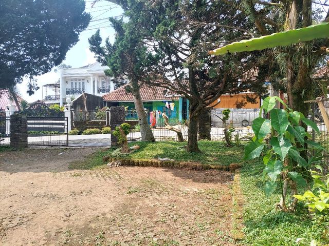 place photo 28