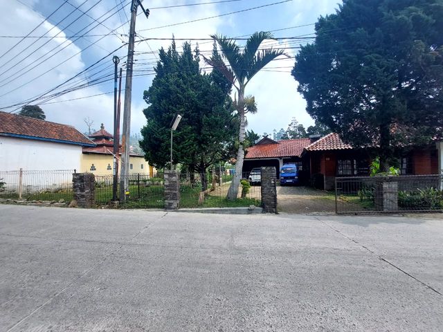 place photo 29