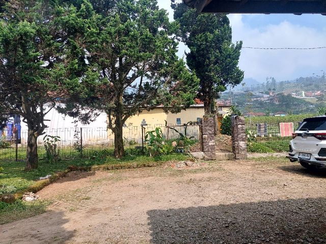 place photo 32