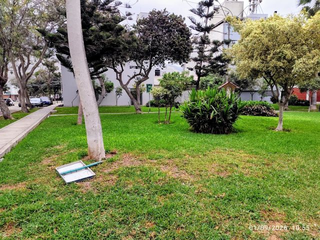 place photo 18