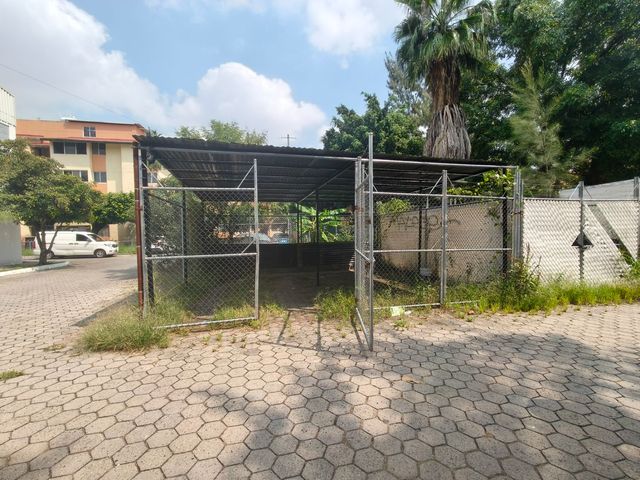 place photo 17