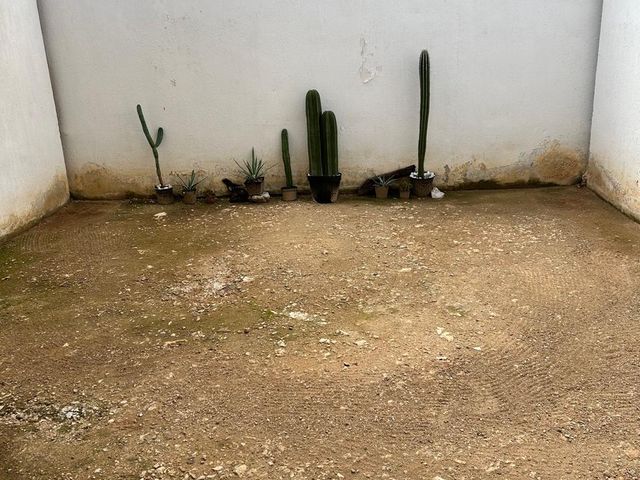 place photo 40