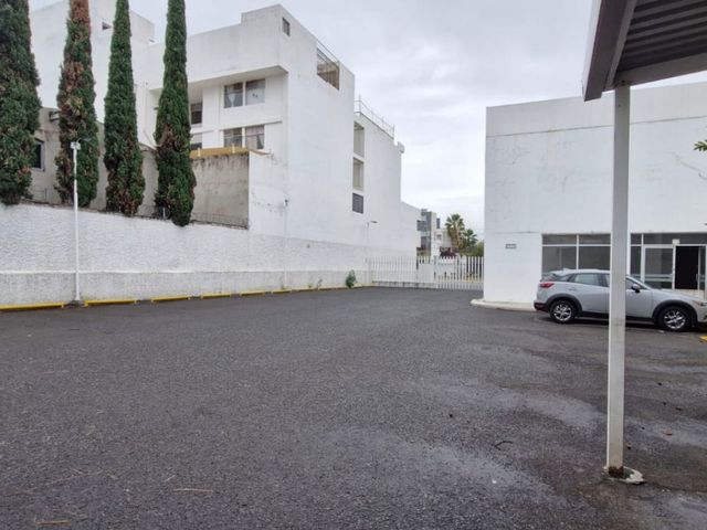 place photo 14