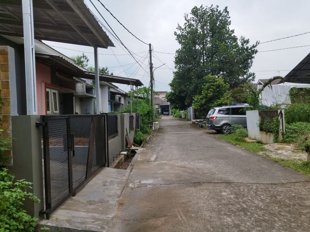 place photo 12