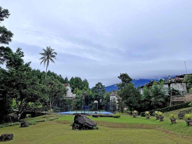 place photo 22