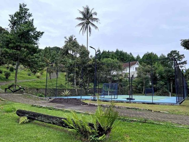 place photo 23