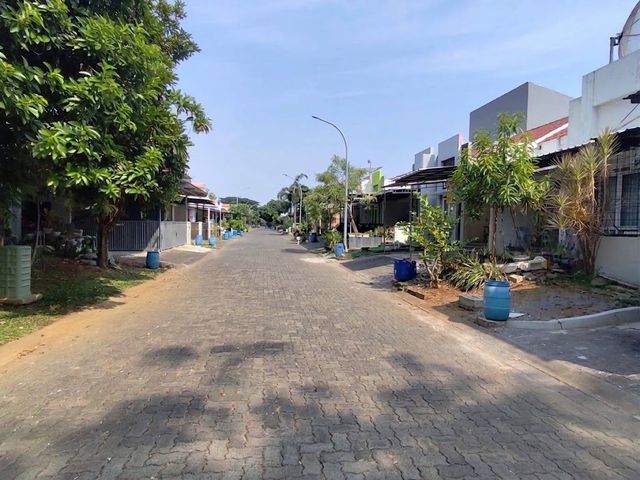 place photo 14