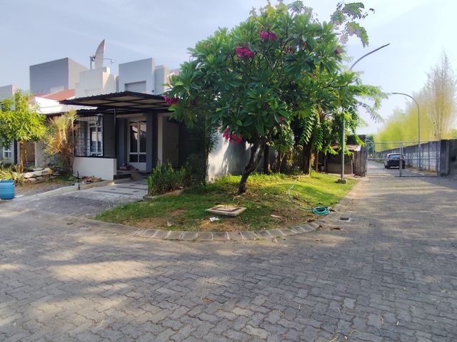 place photo 16
