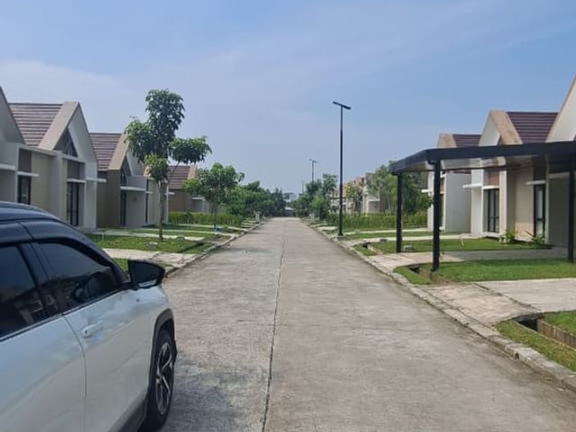 place photo 12