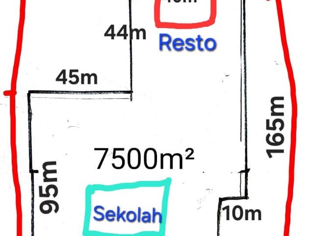 place photo 17