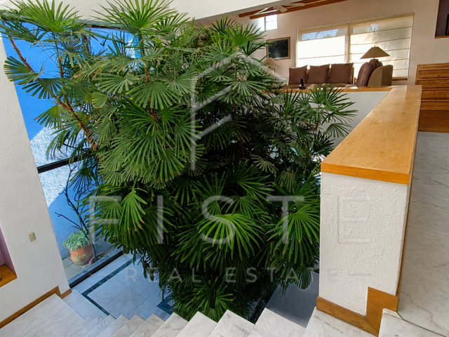 place photo 28