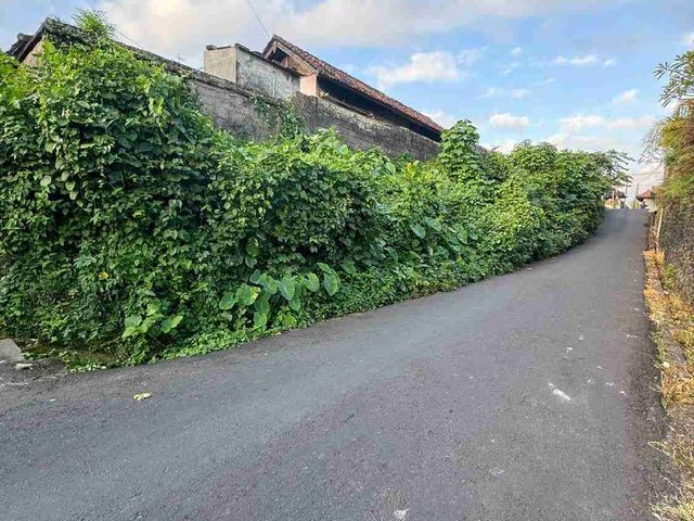 place photo 23