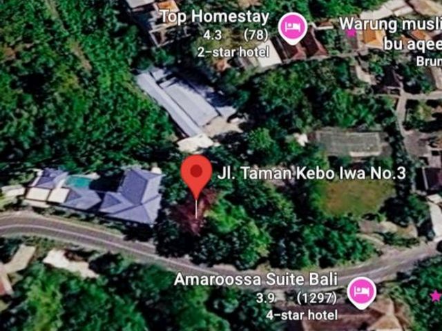 place photo 7