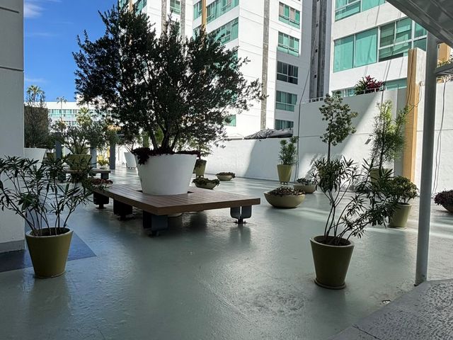 place photo 36