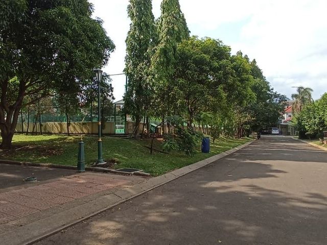 place photo 19