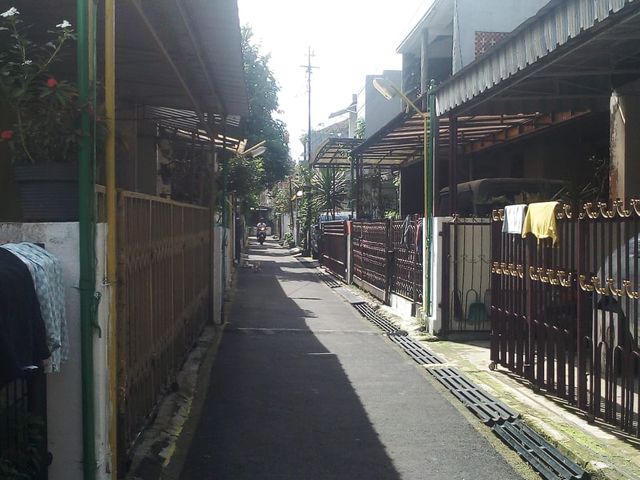 place photo 13