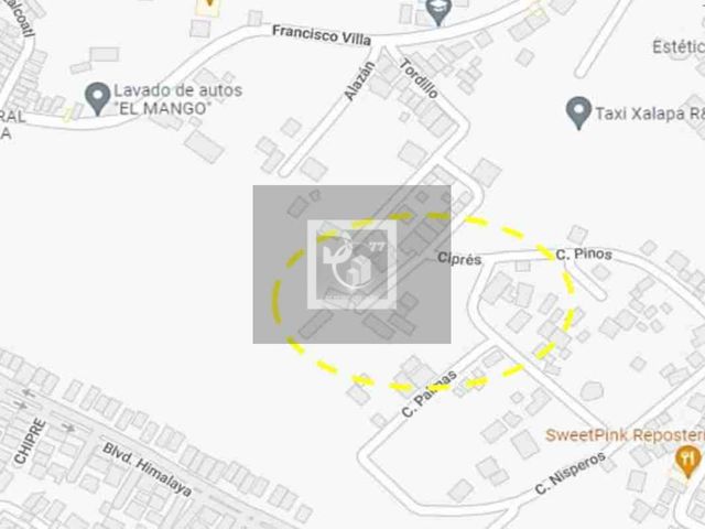 place photo 7