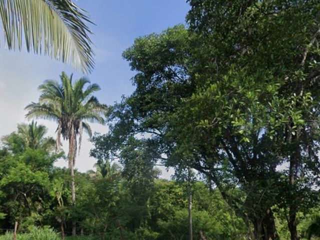 place photo 11