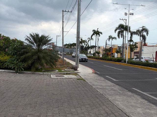 place photo 22