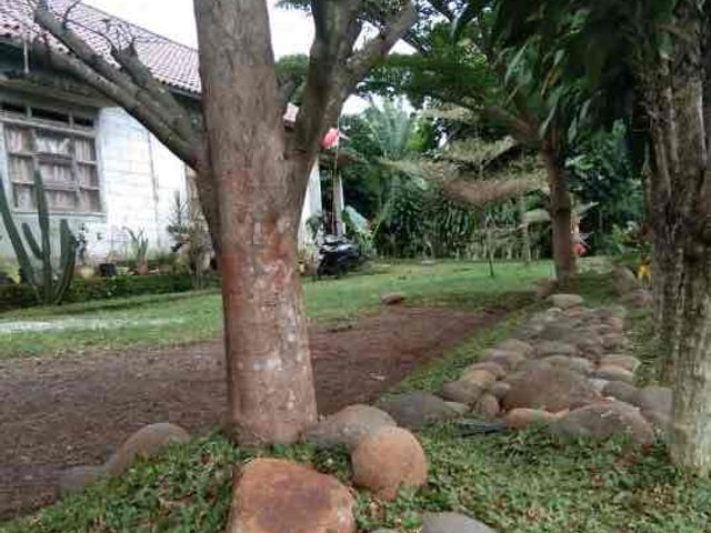 place photo 22