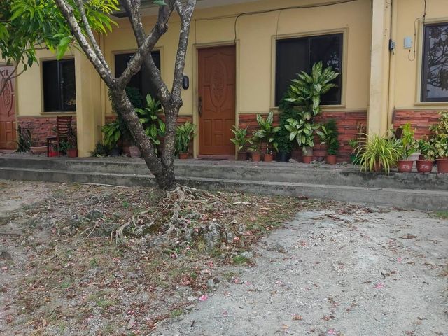 place photo 12