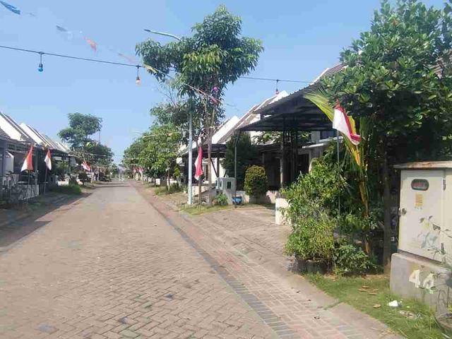 place photo 3