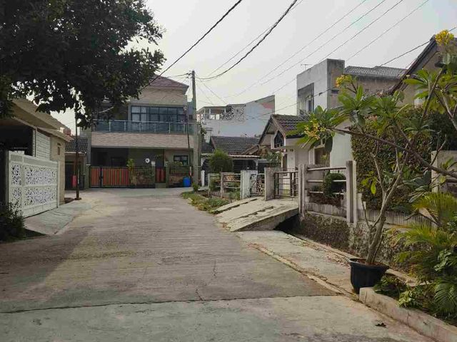 place photo 12