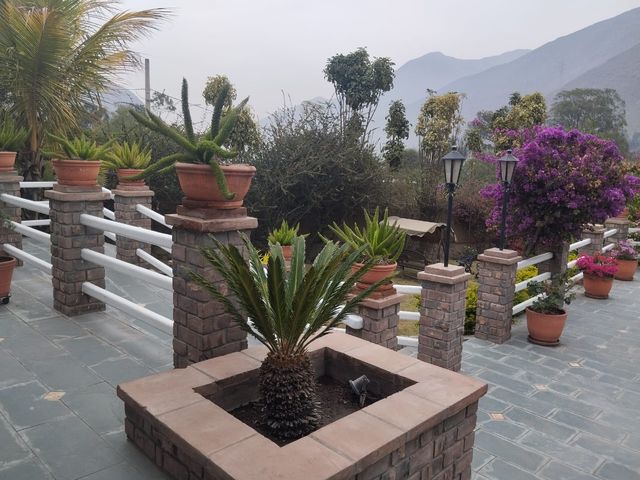 place photo 35