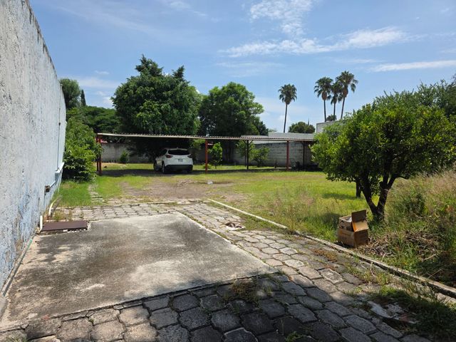 place photo 16