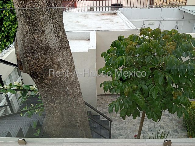 place photo 33