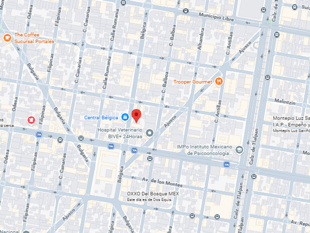 place photo 5