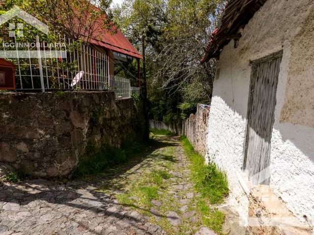 place photo 38