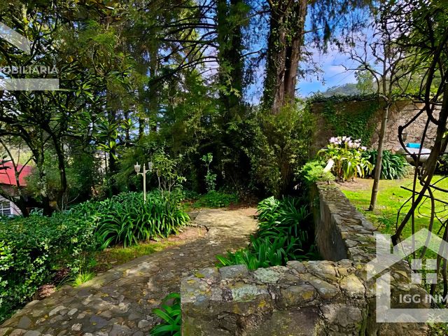 place photo 45