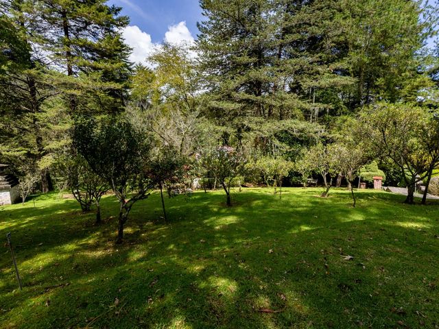 place photo 52
