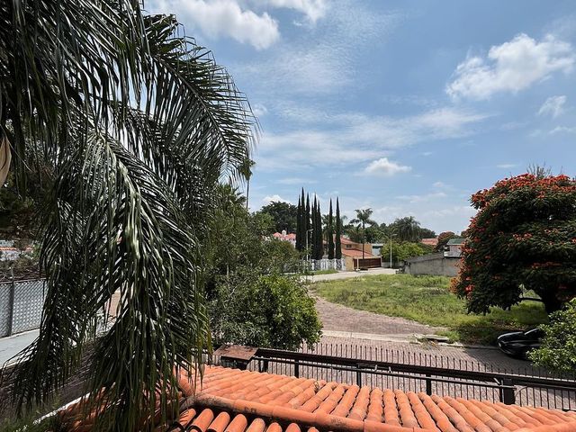 place photo 46